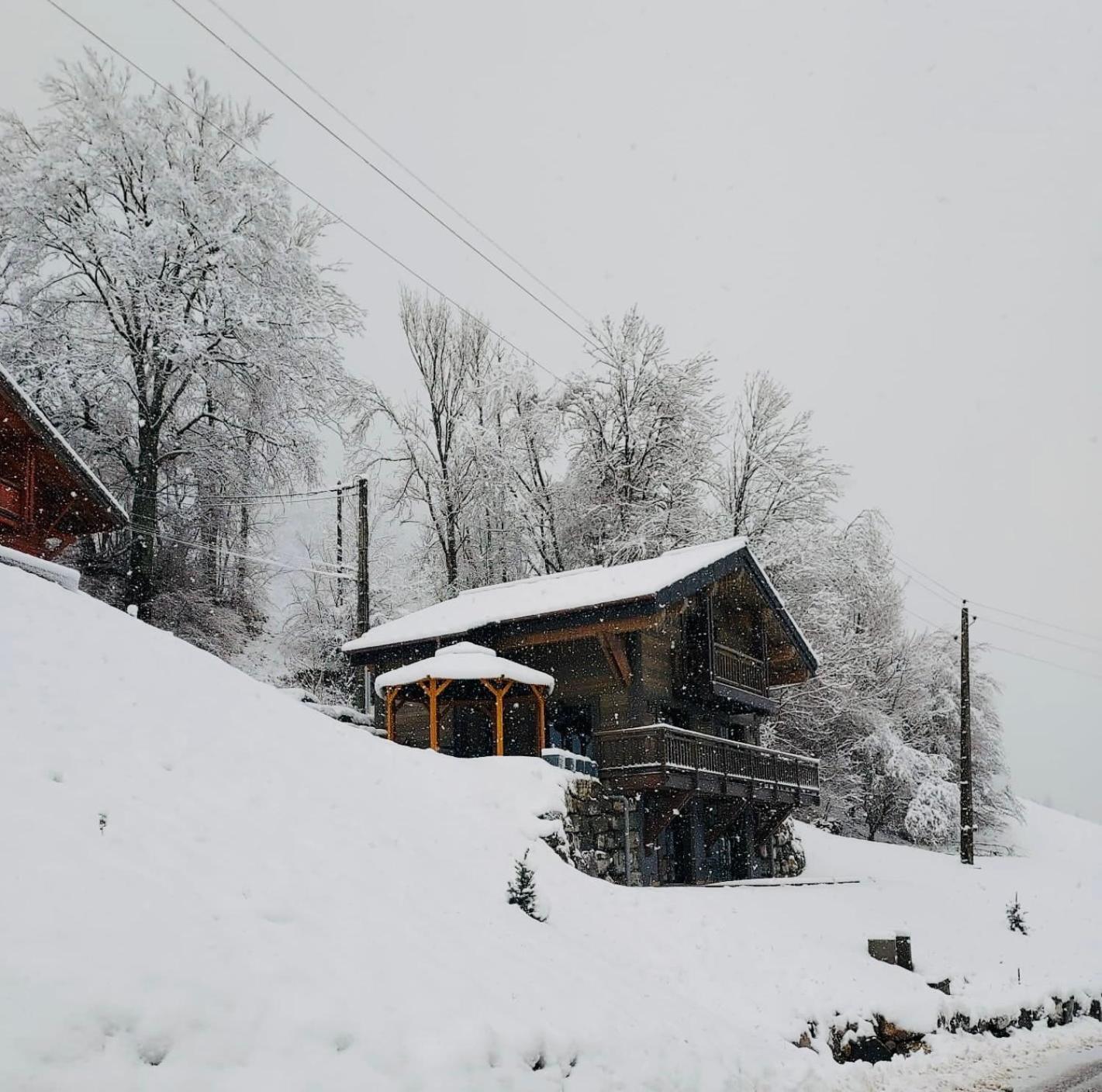 فيلا Chalet Du Bonheur Bonnevaux  المظهر الخارجي الصورة