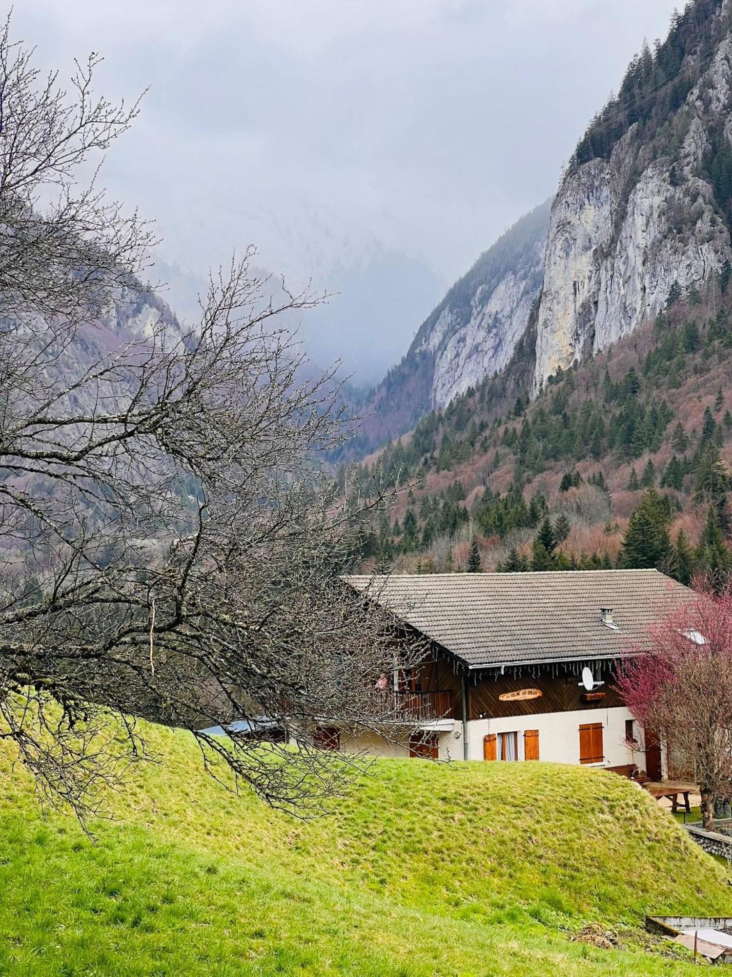 فيلا Chalet Du Bonheur Bonnevaux  المظهر الخارجي الصورة