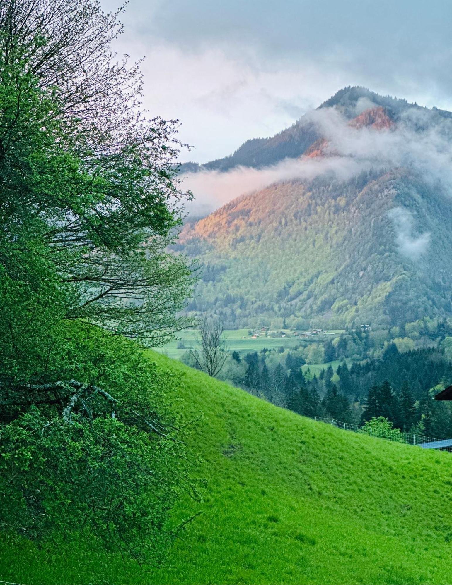 فيلا Chalet Du Bonheur Bonnevaux  المظهر الخارجي الصورة