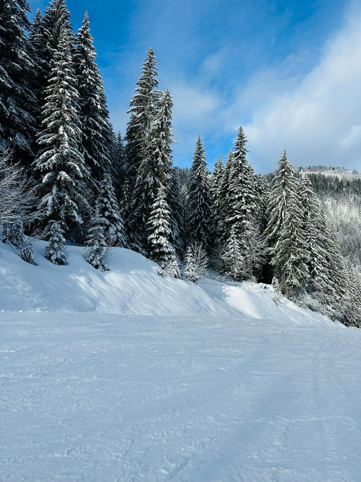 فيلا Chalet Du Bonheur Bonnevaux  المظهر الخارجي الصورة