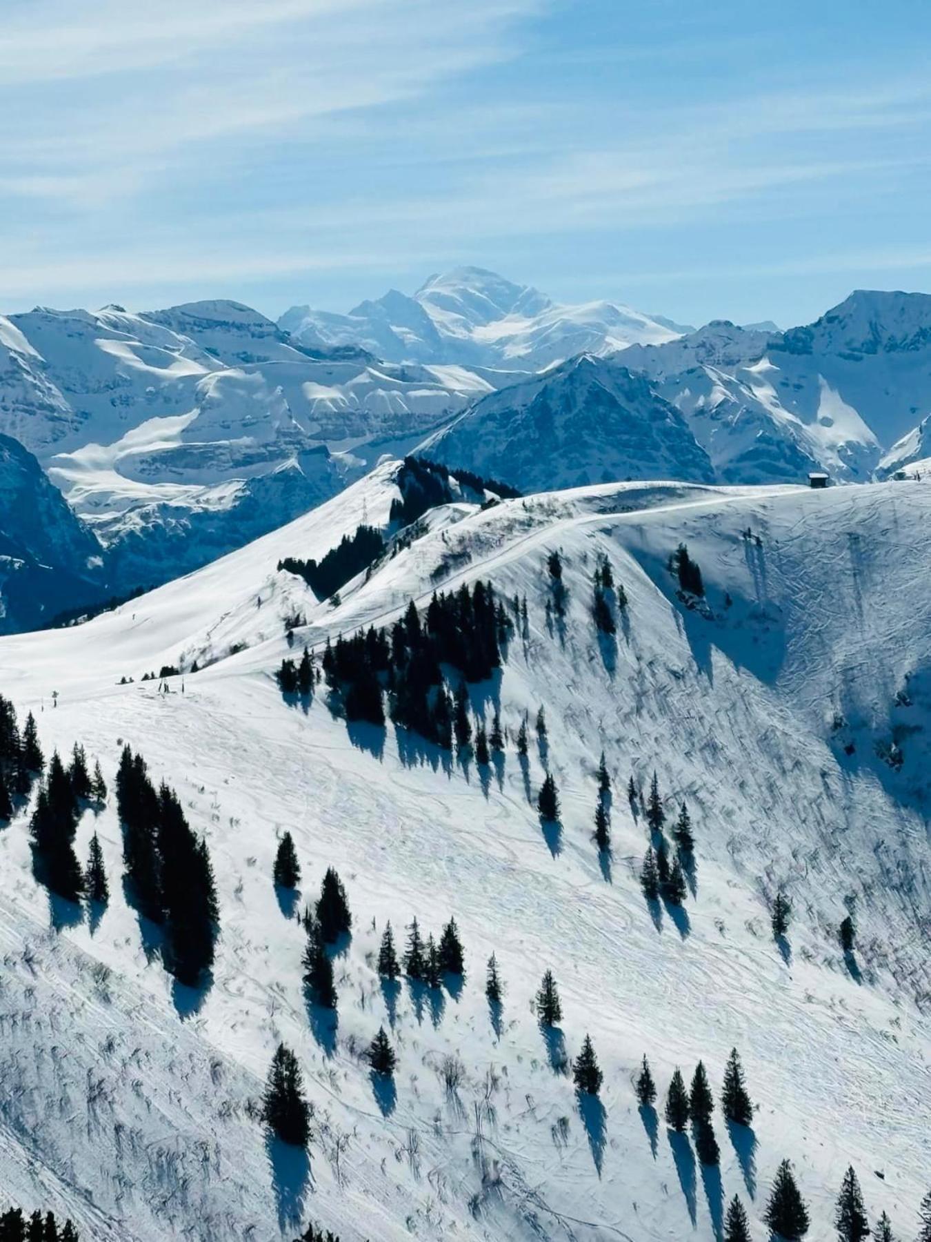 فيلا Chalet Du Bonheur Bonnevaux  المظهر الخارجي الصورة